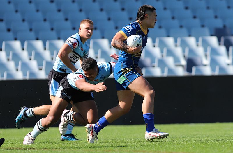 HMC Elimination Final EELS vs SHARKS