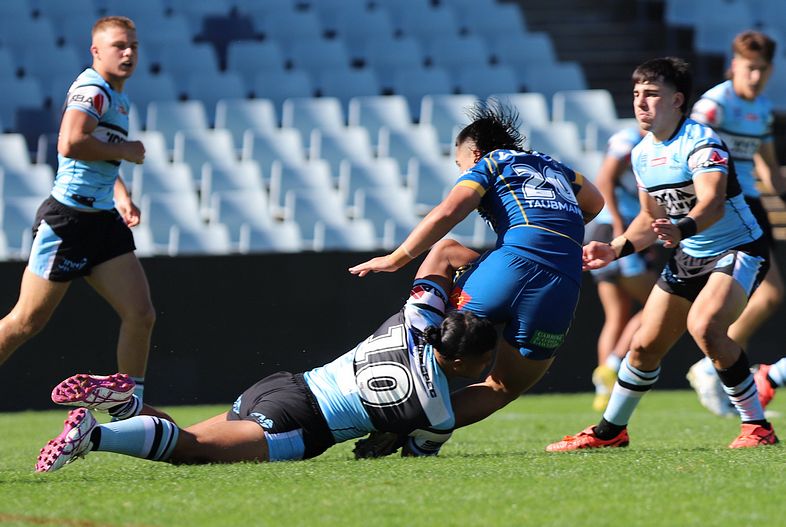 HMC Elimination Final EELS vs SHARKS