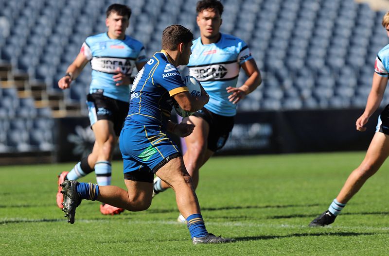 HMC Elimination Final EELS vs SHARKS