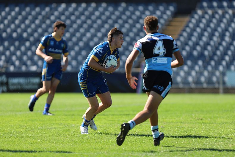 HMC Elimination Final EELS vs SHARKS