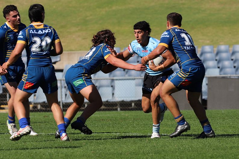 HMC Elimination Final EELS vs SHARKS