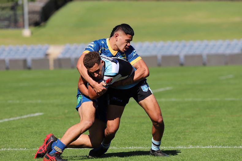 HMC Elimination Final EELS vs SHARKS