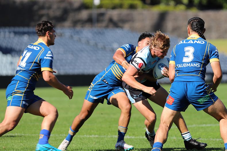 HMC Elimination Final EELS vs SHARKS