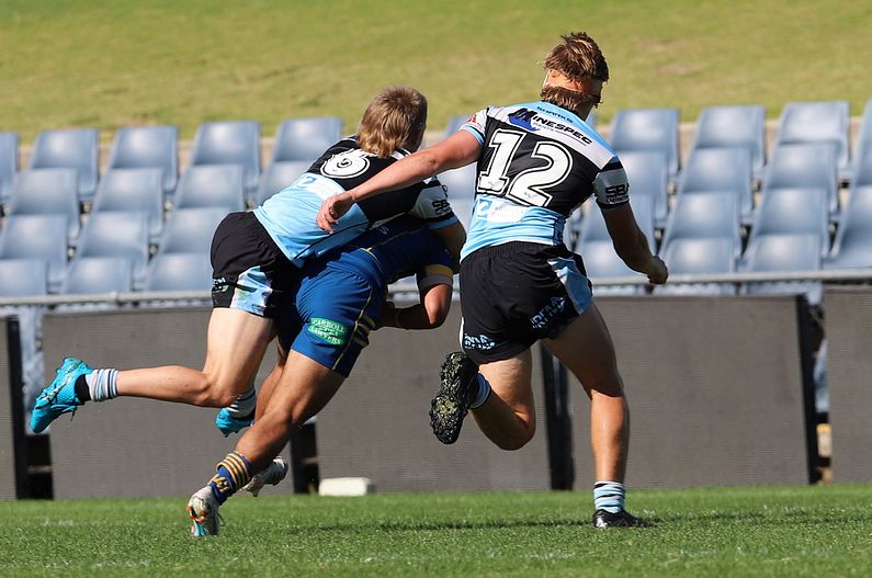 HMC Elimination Final EELS vs SHARKS