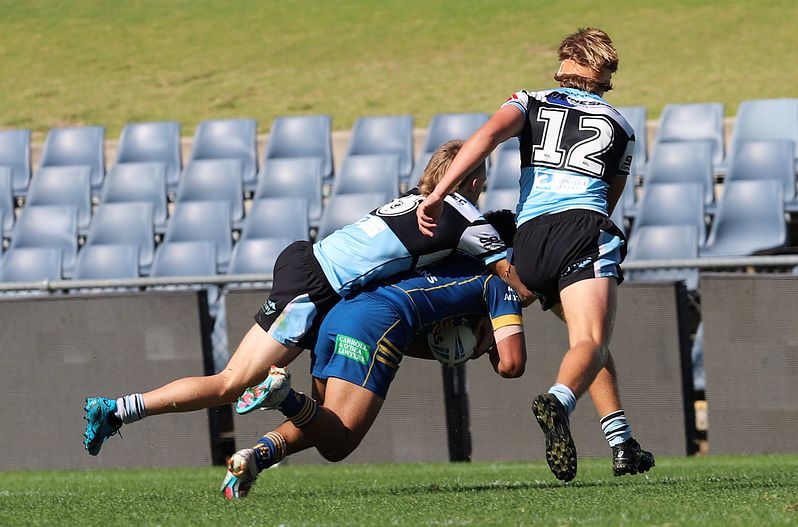HMC Elimination Final EELS vs SHARKS