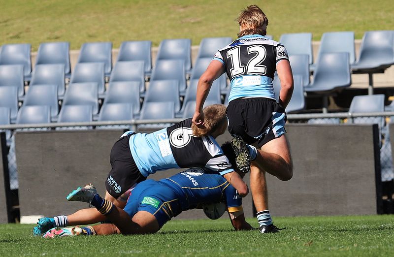 HMC Elimination Final EELS vs SHARKS