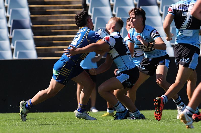 HMC Elimination Final EELS vs SHARKS