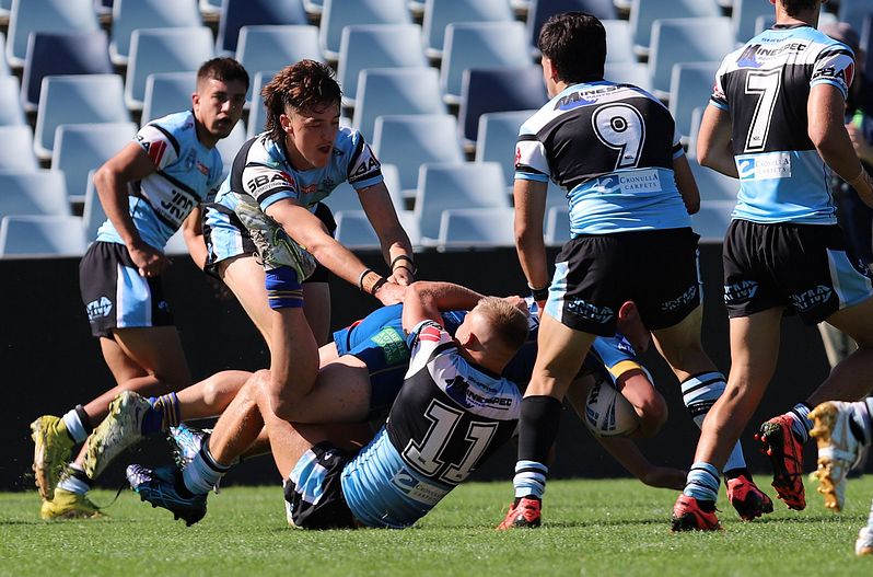 HMC Elimination Final EELS vs SHARKS