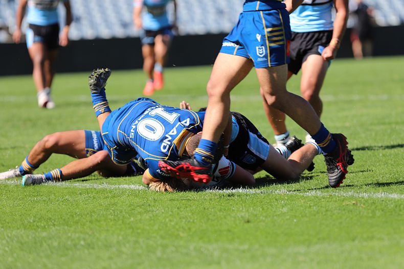 HMC Elimination Final EELS vs SHARKS