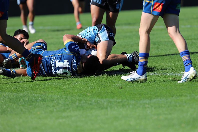 HMC Elimination Final EELS vs SHARKS