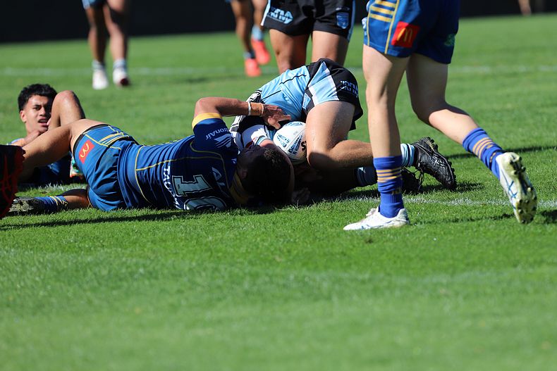 HMC Elimination Final EELS vs SHARKS