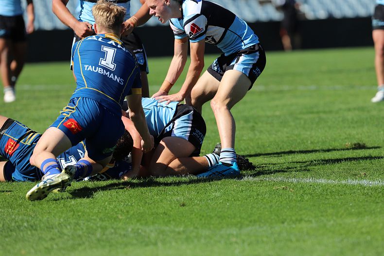 HMC Elimination Final EELS vs SHARKS