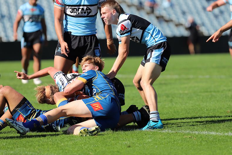 HMC Elimination Final EELS vs SHARKS