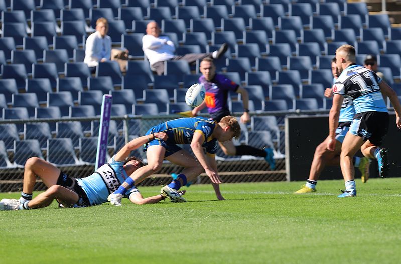 HMC Elimination Final EELS vs SHARKS