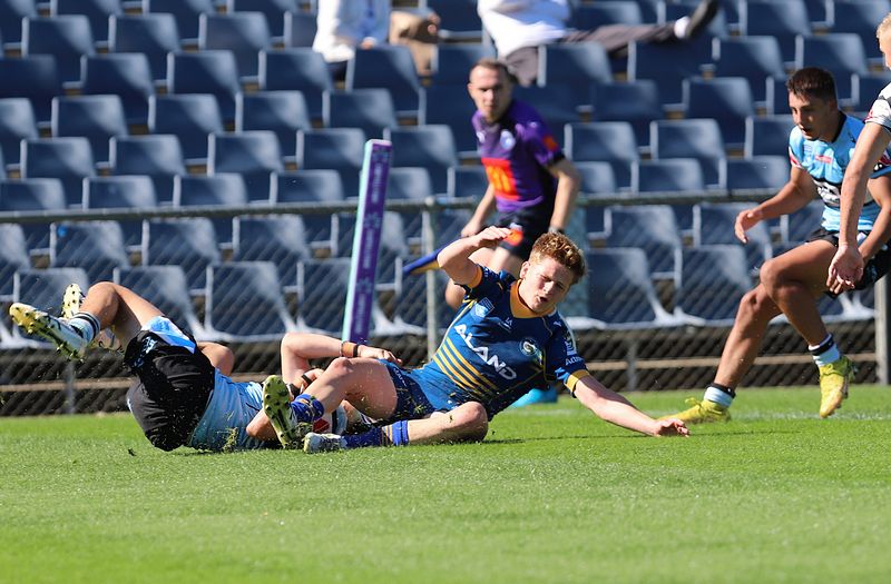 HMC Elimination Final EELS vs SHARKS