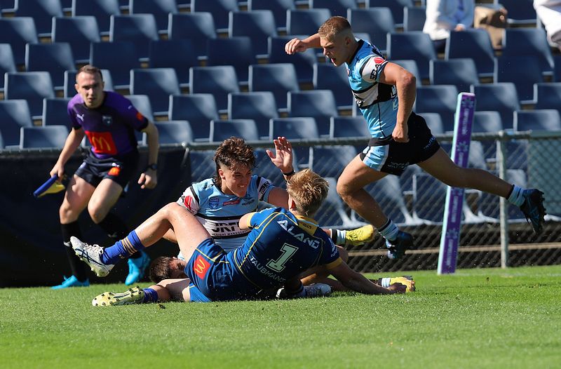 HMC Elimination Final EELS vs SHARKS