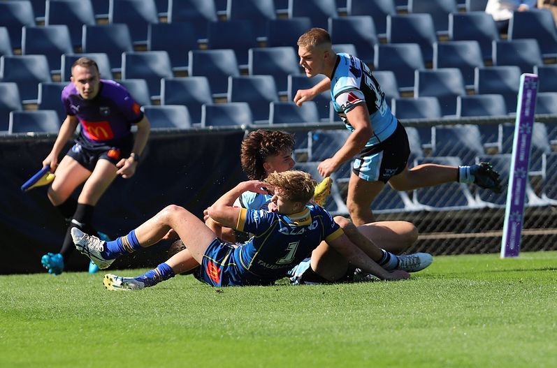 HMC Elimination Final EELS vs SHARKS