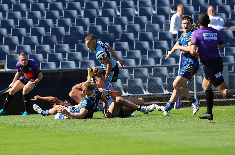 HMC Elimination Final EELS vs SHARKS