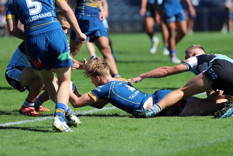 HMC Elimination Final EELS vs SHARKS