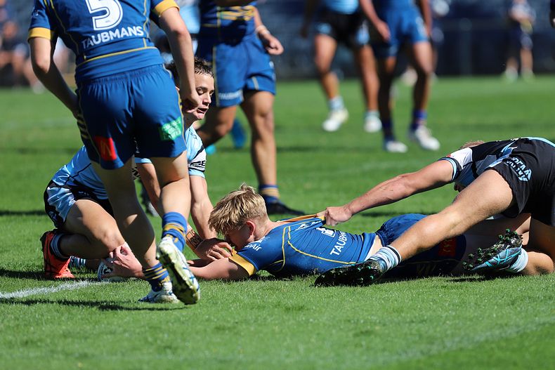 HMC Elimination Final EELS vs SHARKS