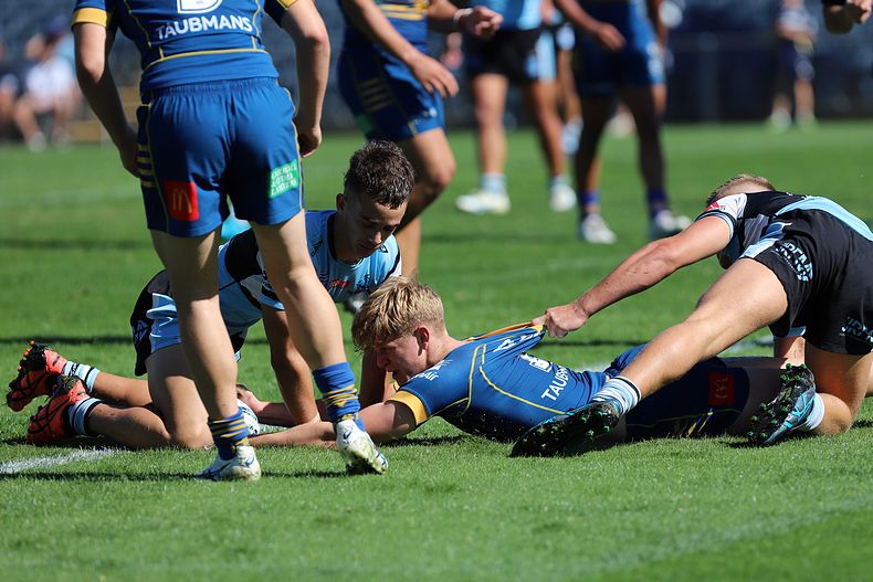 HMC Elimination Final EELS vs SHARKS