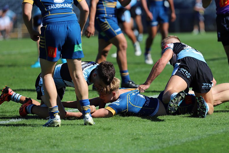 HMC Elimination Final EELS vs SHARKS