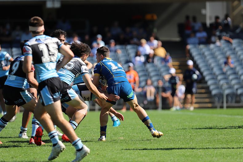 HMC Elimination Final EELS vs SHARKS