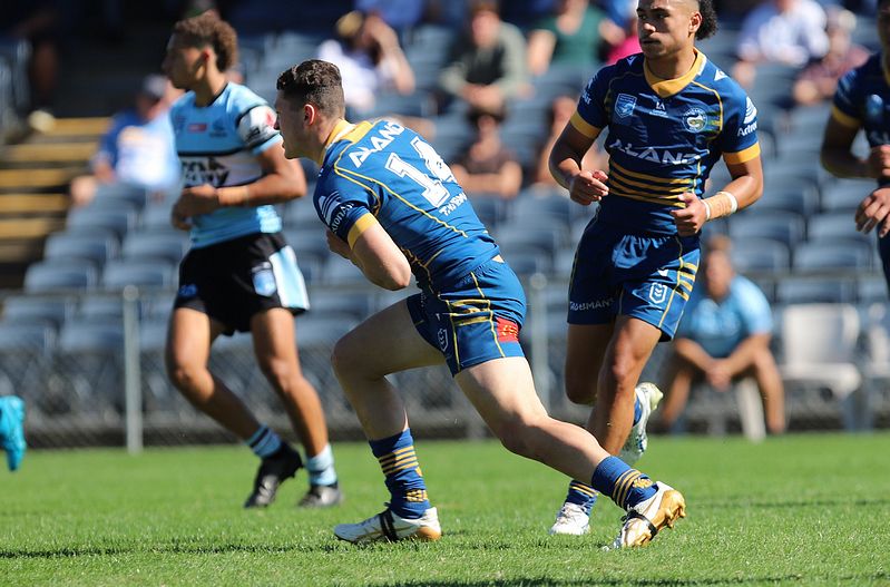 HMC Elimination Final EELS vs SHARKS