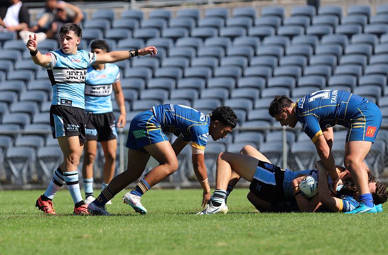 HMC Elimination Final EELS vs SHARKS