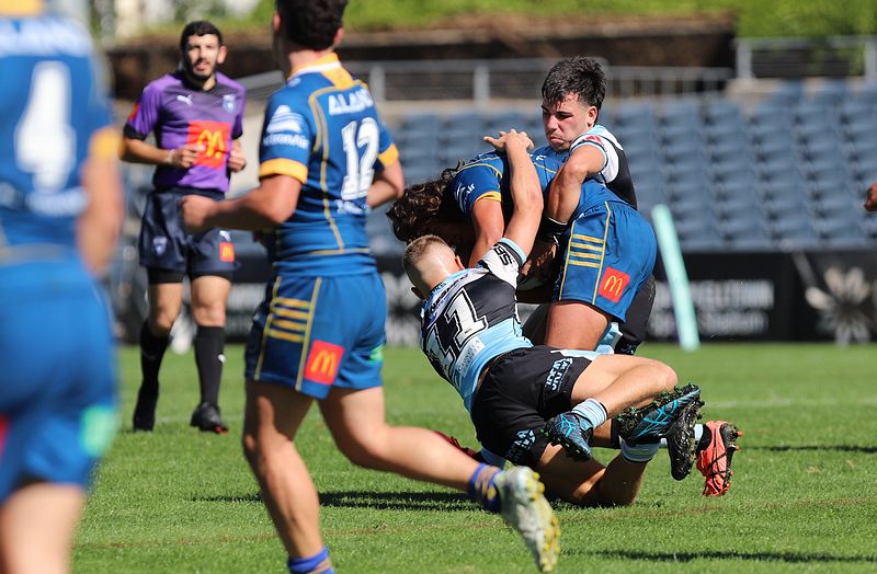 HMC Elimination Final EELS vs SHARKS
