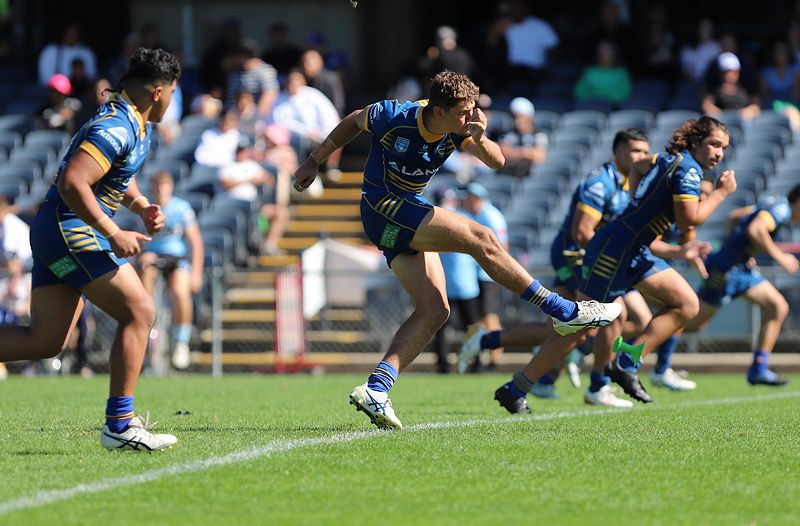 HMC Elimination Final EELS vs SHARKS