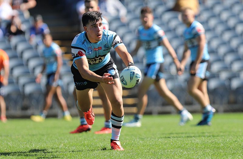 HMC Elimination Final EELS vs SHARKS