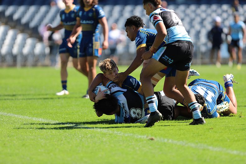 HMC Elimination Final EELS vs SHARKS
