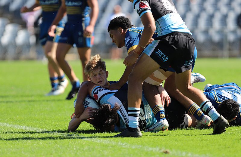 HMC Elimination Final EELS vs SHARKS