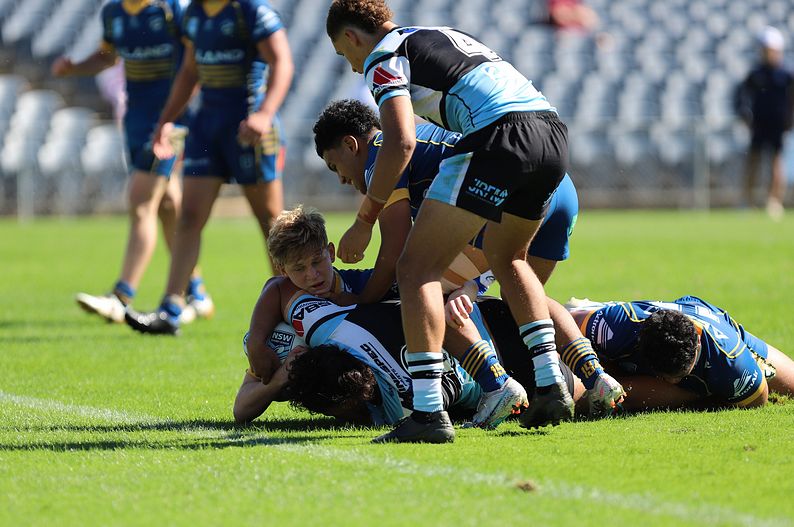 HMC Elimination Final EELS vs SHARKS