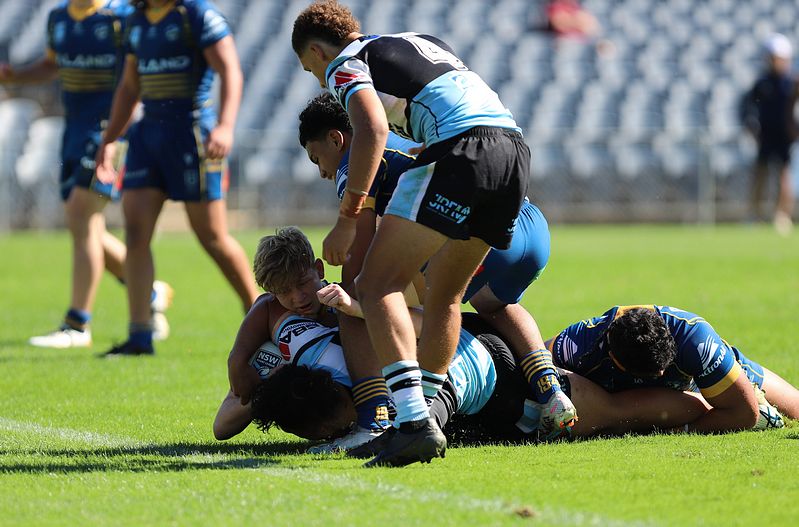 HMC Elimination Final EELS vs SHARKS