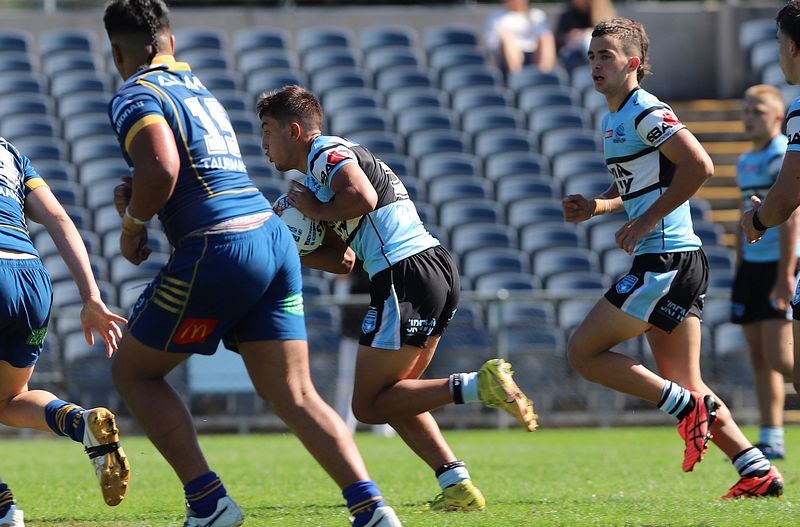 HMC Elimination Final EELS vs SHARKS