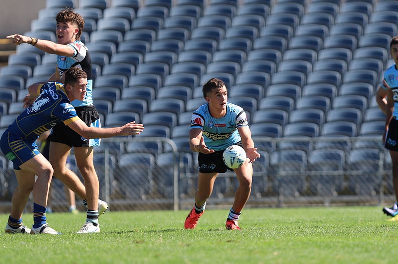 HMC Elimination Final EELS vs SHARKS