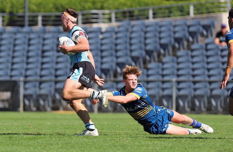 HMC Elimination Final EELS vs SHARKS