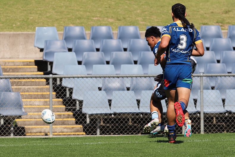 HMC Elimination Final EELS vs SHARKS