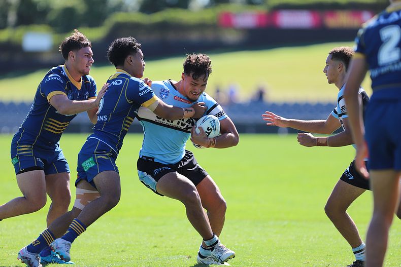HMC Elimination Final EELS vs SHARKS