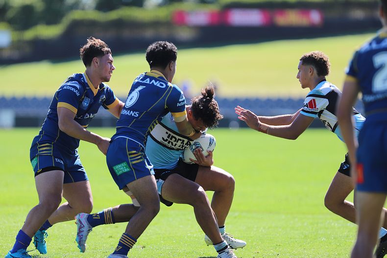HMC Elimination Final EELS vs SHARKS
