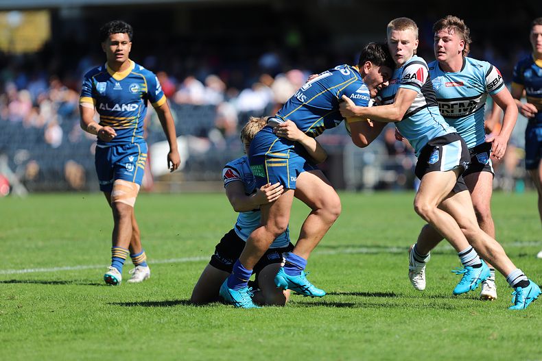 HMC Elimination Final EELS vs SHARKS