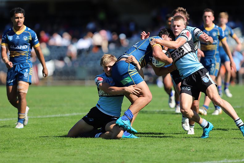 HMC Elimination Final EELS vs SHARKS