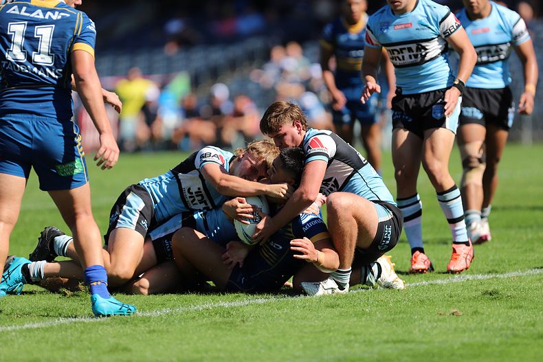HMC Elimination Final EELS vs SHARKS