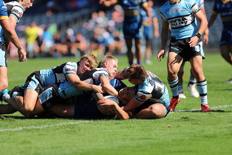 HMC Elimination Final EELS vs SHARKS