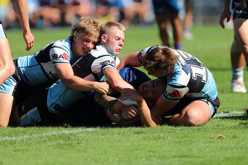 HMC Elimination Final EELS vs SHARKS