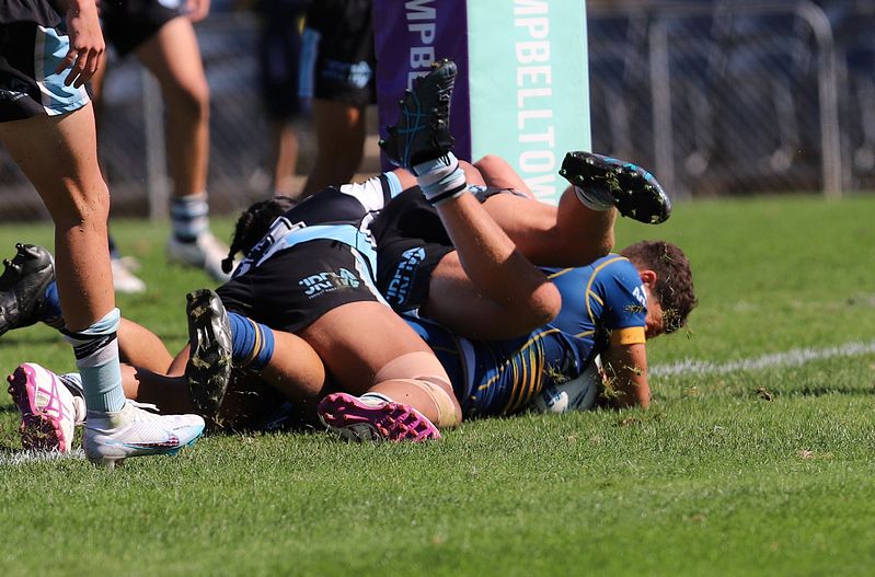 HMC Elimination Final EELS vs SHARKS