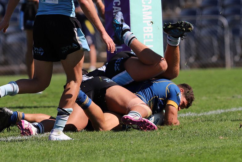 HMC Elimination Final EELS vs SHARKS
