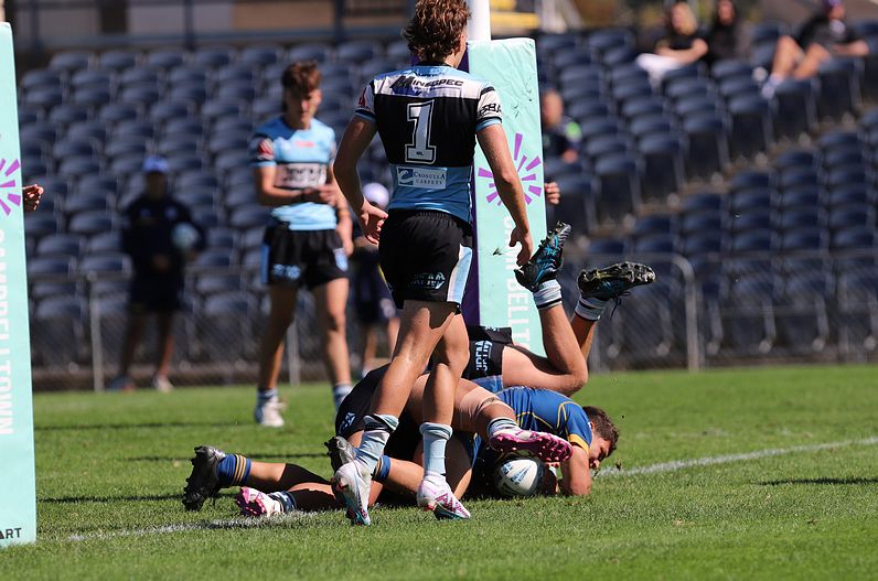 HMC Elimination Final EELS vs SHARKS